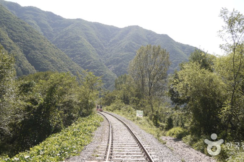 闻庆铁路自行车