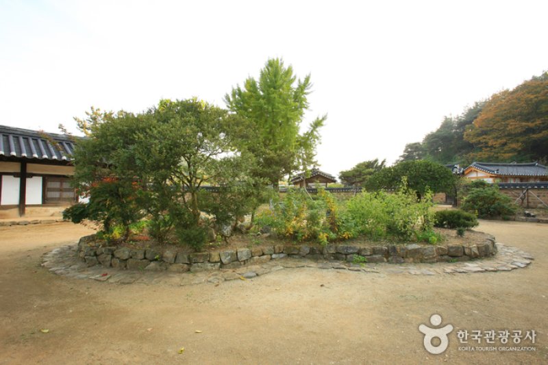 松韶古宅(송소고택) (5/38)