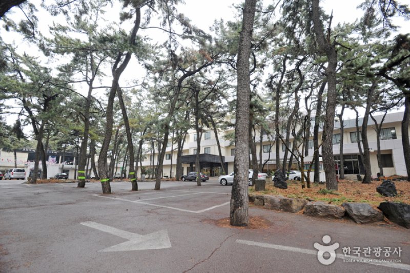 浦项康莫大酒店(코모도 호텔 포항) (2/25)