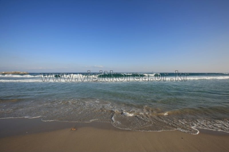 九龙浦海水浴场