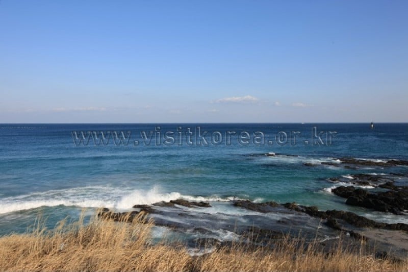 九龙浦海水浴场