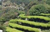 外岛海上农园