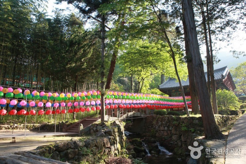 双蹊寺