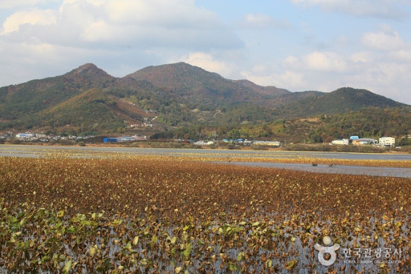 注南贮水池 (11/24)