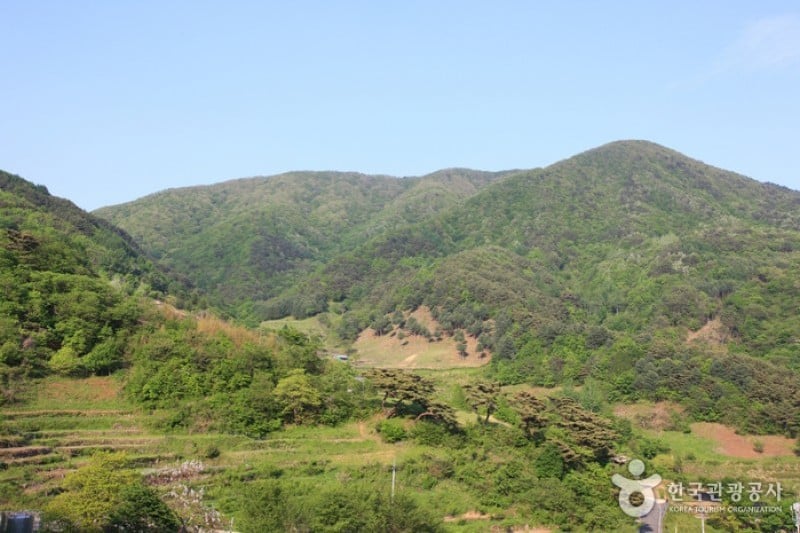 智异山国立公园