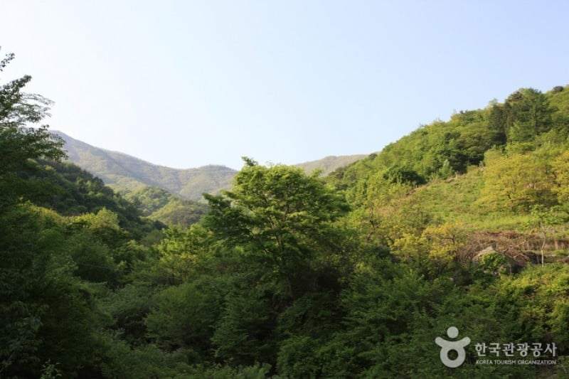 智异山国立公园