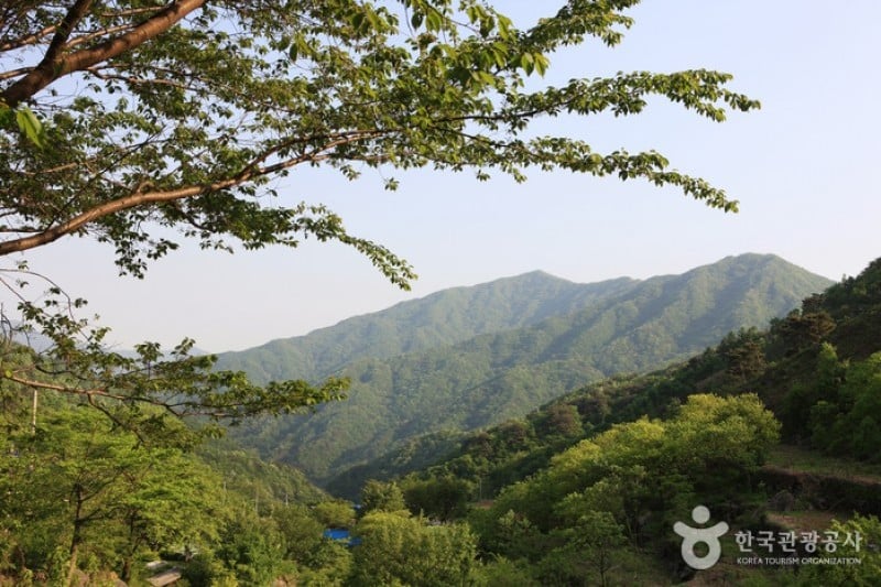 智异山国立公园