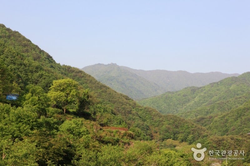 智异山国立公园