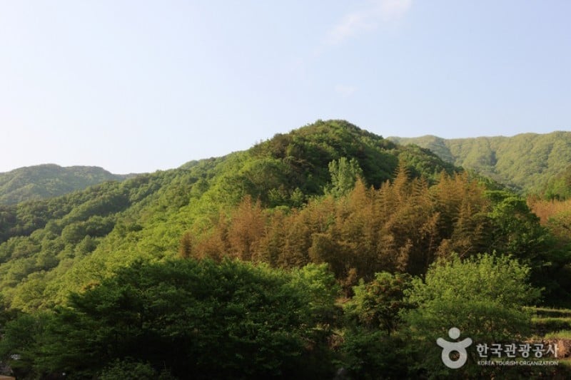 智异山国立公园