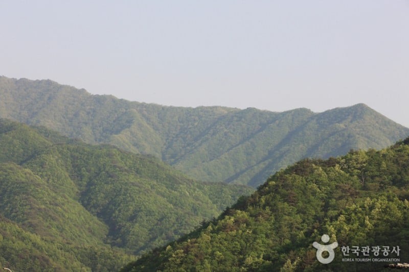 智异山国立公园