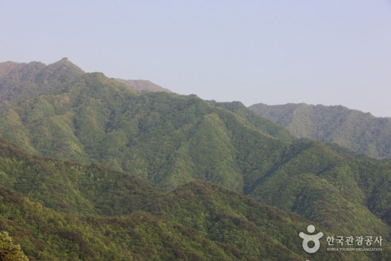 智异山国立公园