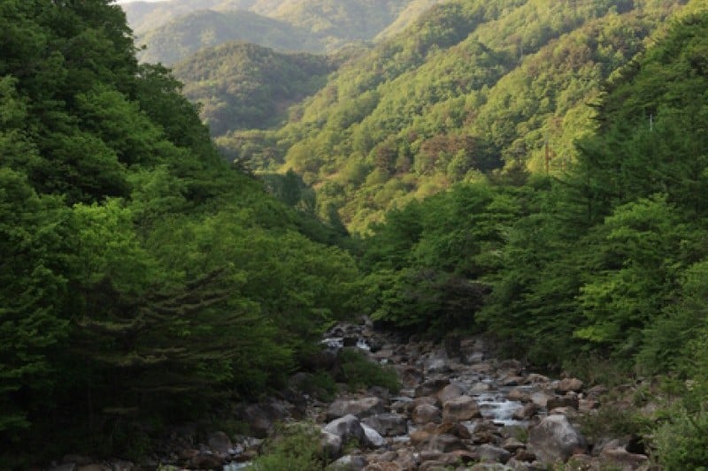 智异山国立公园