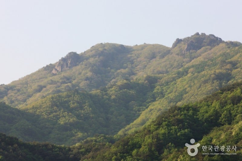 智异山国立公园