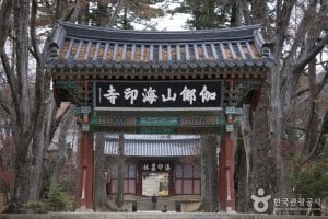 海印寺山寺体验