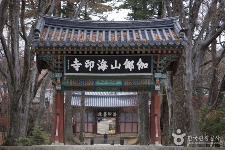 海印寺山寺体验