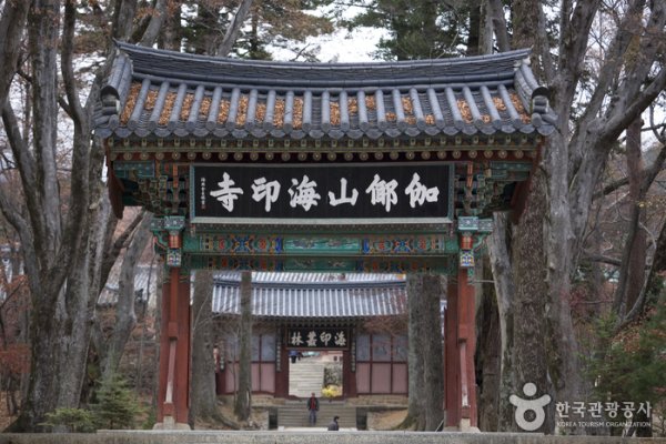 海印寺山寺体验