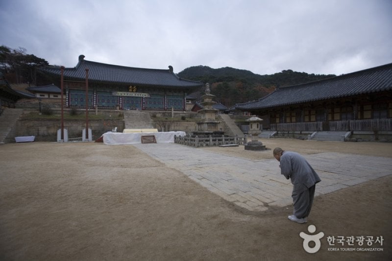 海印寺山寺体验