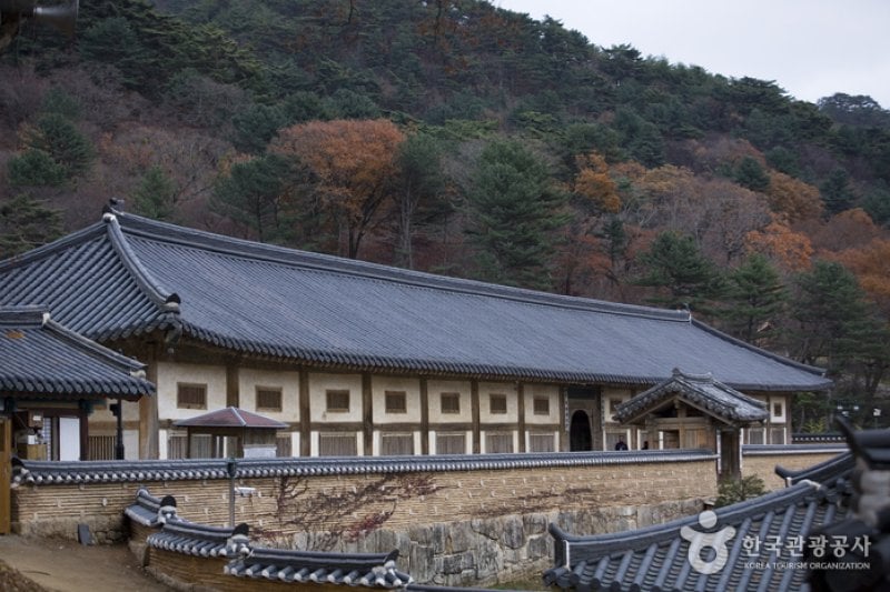 海印寺山寺体验