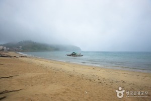 旧照罗海水浴场