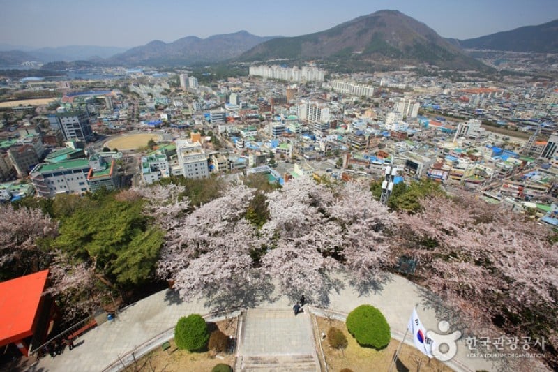 帝皇山公园 (6/9)