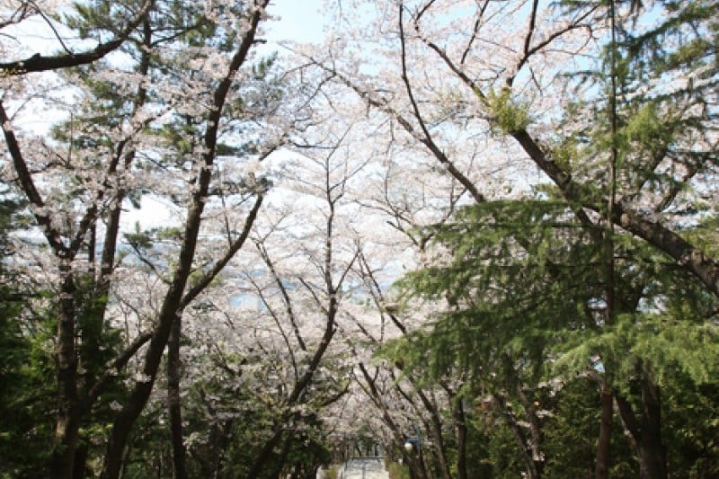 帝皇山公园 (9/9)