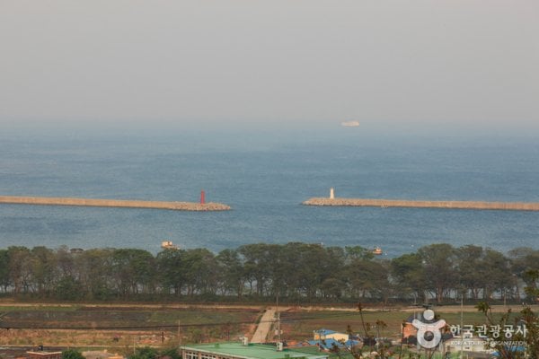 南海勿巾防潮鱼付林남해 물건리 방조어부림