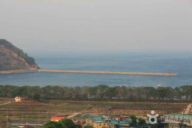 南海勿巾防潮鱼付林남해 물건리 방조어부림