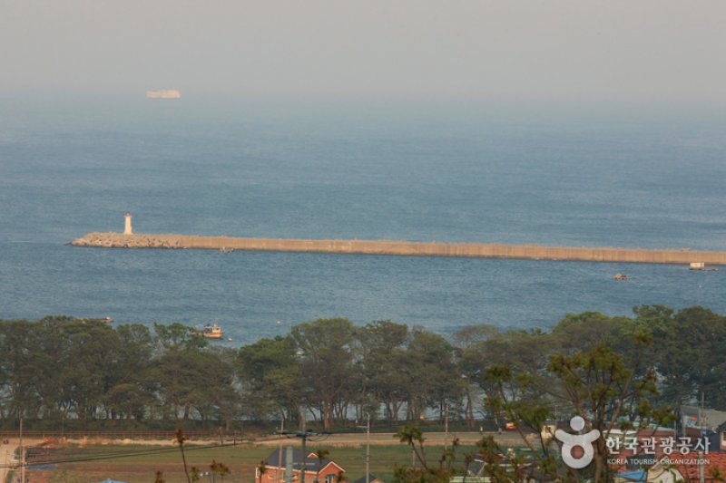 南海勿巾防潮鱼付林남해 물건리 방조어부림