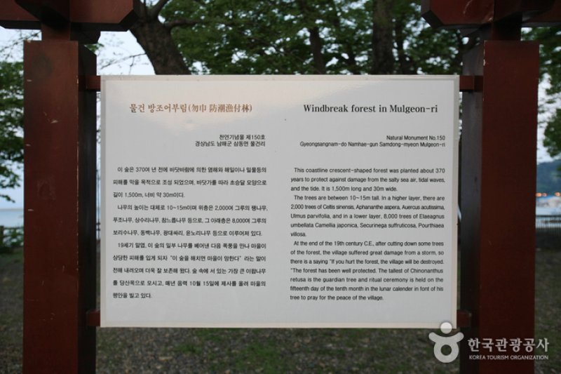 南海勿巾防潮鱼付林남해 물건리 방조어부림