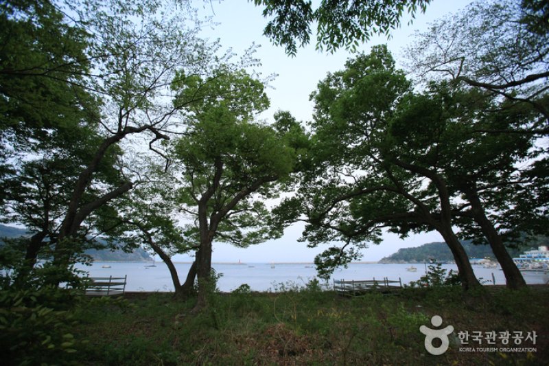南海勿巾防潮鱼付林남해 물건리 방조어부림