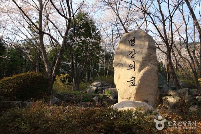 长福山雕塑公园 (9/10)