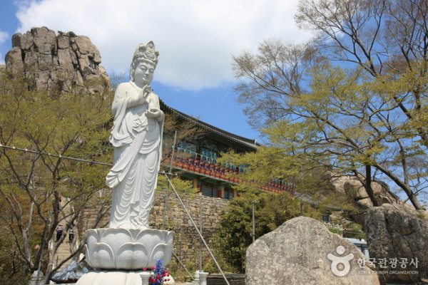 锦山菩提庵