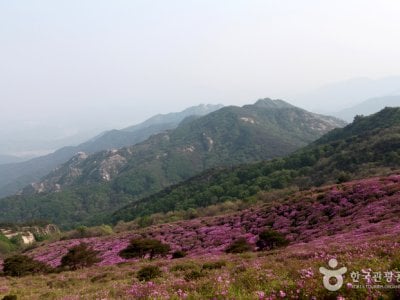 黄梅山황매산