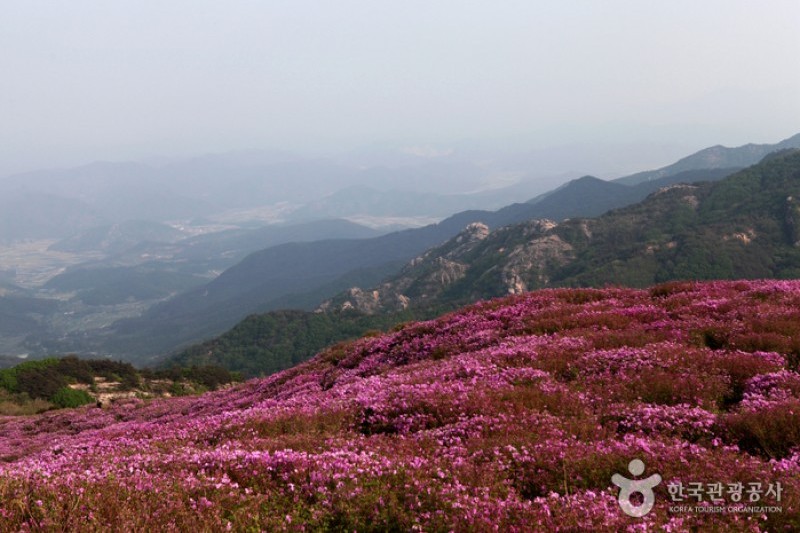 黄梅山황매산 (2/12)