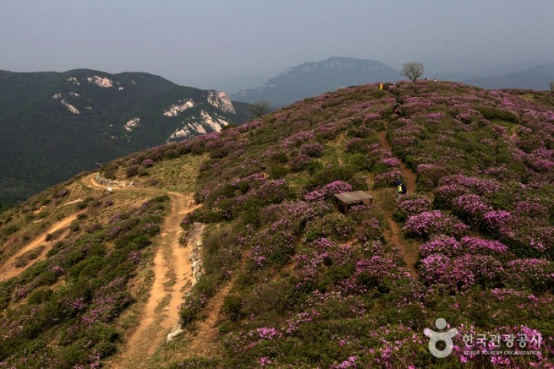 黄梅山황매산 (5/12)
