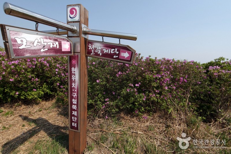 黄梅山황매산 (7/12)