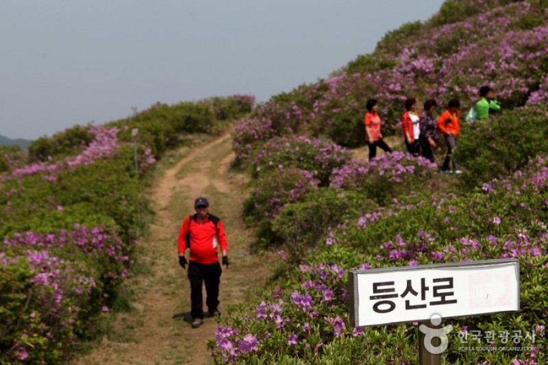 黄梅山황매산 (9/12)