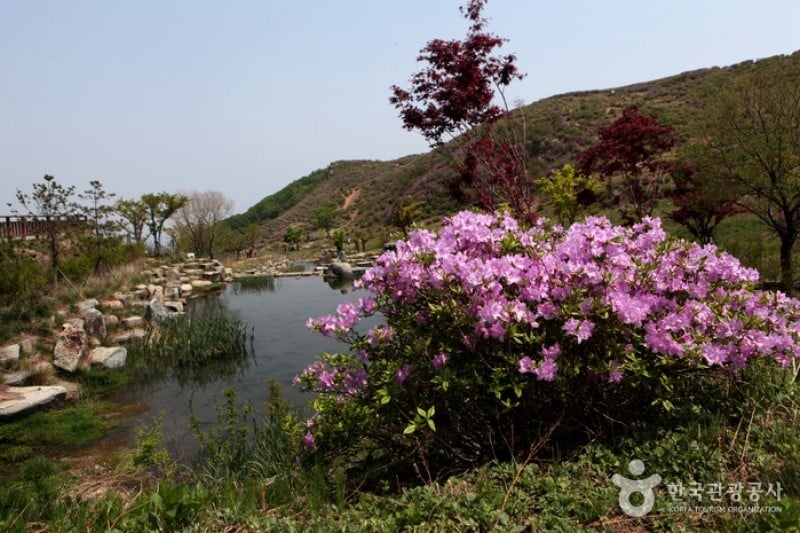 黄梅山황매산 (11/12)