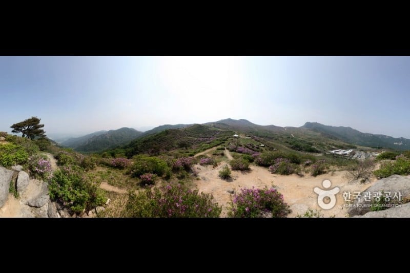 黄梅山황매산 (12/12)