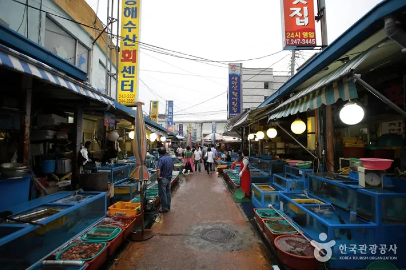 马山鱼市场