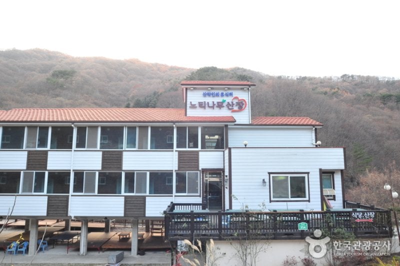 榉树山庄[优秀住宿设施] 