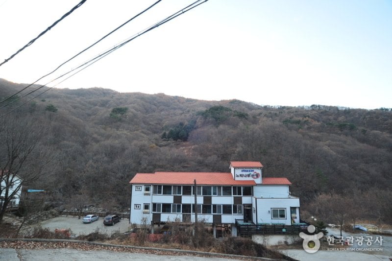 榉树山庄[优秀住宿设施] 