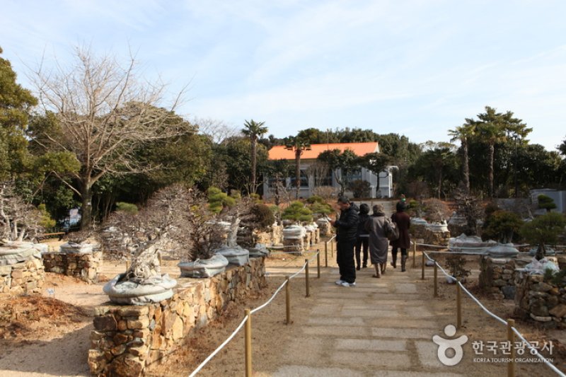 长蛇岛(장사도)