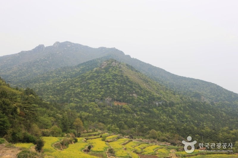 南海锦山