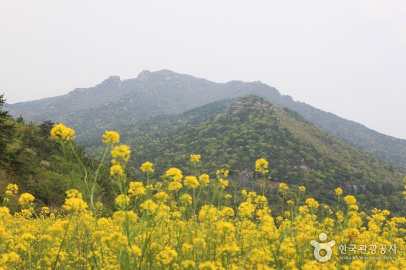 南海锦山