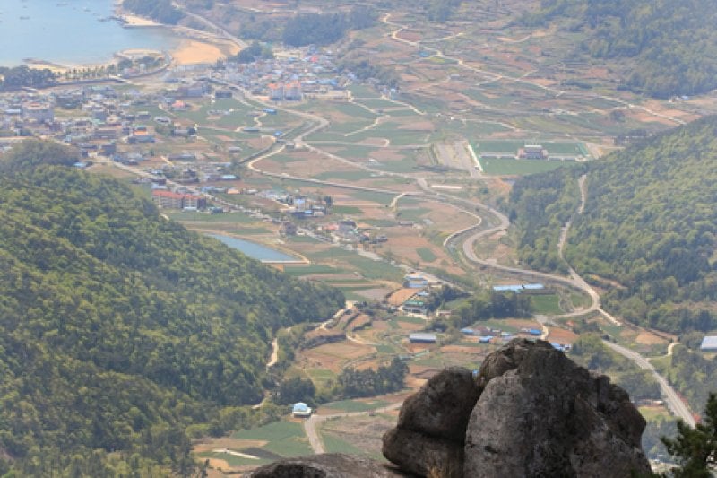 南海锦山