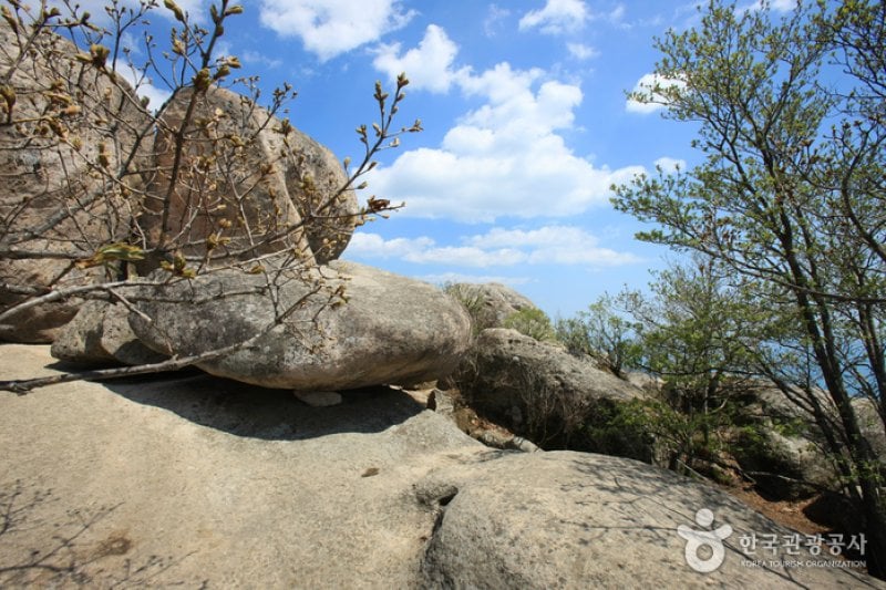 南海锦山