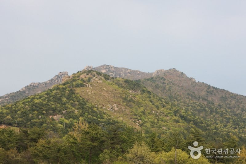 南海锦山