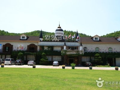 韩国葡萄酒公司