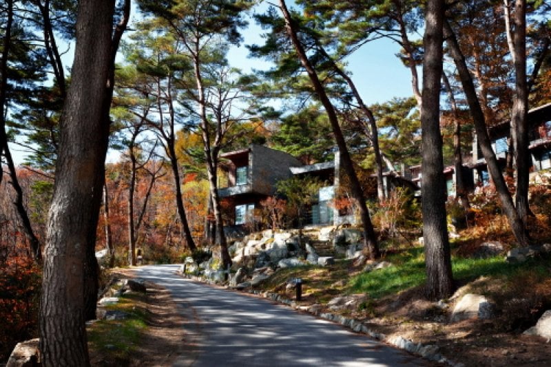 RESOM森林度假村